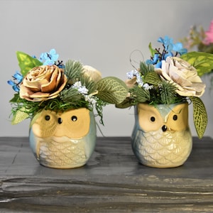 Pair of small 2 1/2&quot; coordinating little owl planters filled with Sola wood bark flowers and fillers-great gift or brightien any small space
