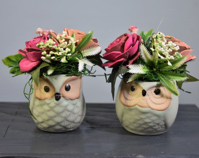 Pair of small 2 1/2" coordinating little owl planters filled with Sola wood bark flowers and fillers-great gift or brightien any small space
