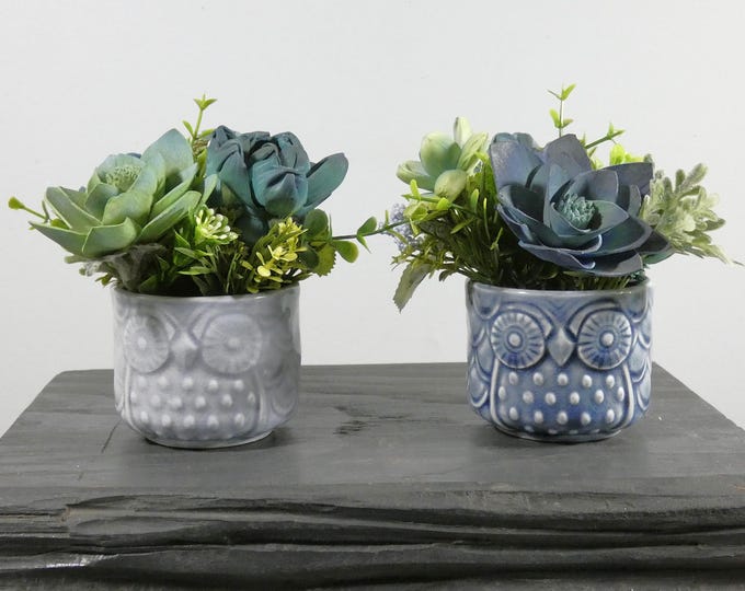 Small owl face planter filled with airbrushed sustainable Sola wood succulents perfect for a desktop, dresser or any corner, great gift!