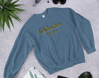 umich sweatshirt