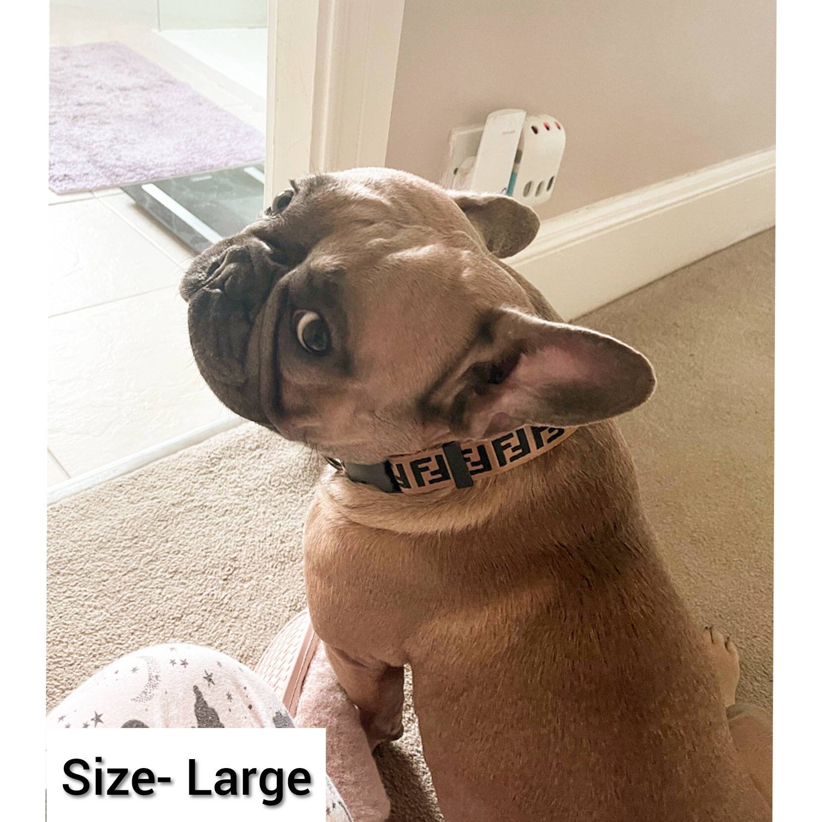 Furendi Designer Dog Harness Collar Clip XXS XS Small Medium Etsy