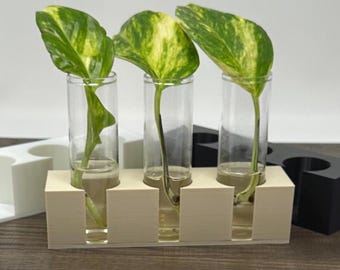 Modern Plant Propagation Station | Test Tube Propagation Planter | Minimalist Plant Decor | Water Propagation Holder | Gift for Plant Lovers