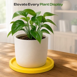 Puede incluir: Una planta de hojas de color verde vibrante en una maceta de cerámica cilíndrica de color blanco mate, colocada sobre una bandeja circular de color amarillo brillante. El texto "Elevate Every Plant Display" está impreso en negro y verde sobre la planta.