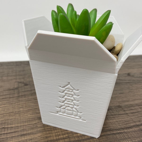 Chinese Takeout Planter, Succulent Planter, Cactus Planter, Chinese Carryout Planter