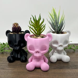 Teddy Skeleton Planter, Succulent Planter, Goth Planter, Zen Planter, Planter Pot