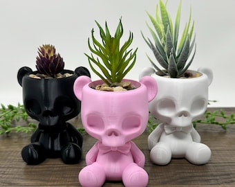 Teddy Skeleton Succulent Planter: Gothic Home Decor