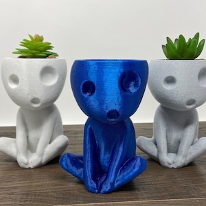 Könnte beinhalten: Drei 3D-gedruckte Pflanzgefäße in Form einer Figur aus dem Videospiel 'Earthbound'. Die Pflanzgefäße sind in Weiß, Blau und Grau und jedes hat eine kleine Sukkulente drin.