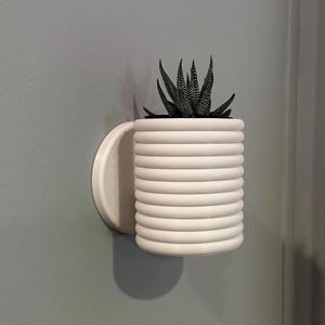 Wall Planter with Hidden Drip Tray - Wall Poppy