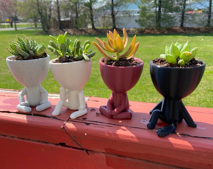 Chinese Takeout Planter Succulent Planter Cactus Planter Etsy