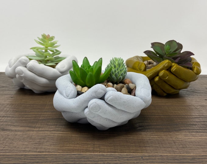 Chinese Takeout Planter Succulent Planter Cactus Planter Etsy