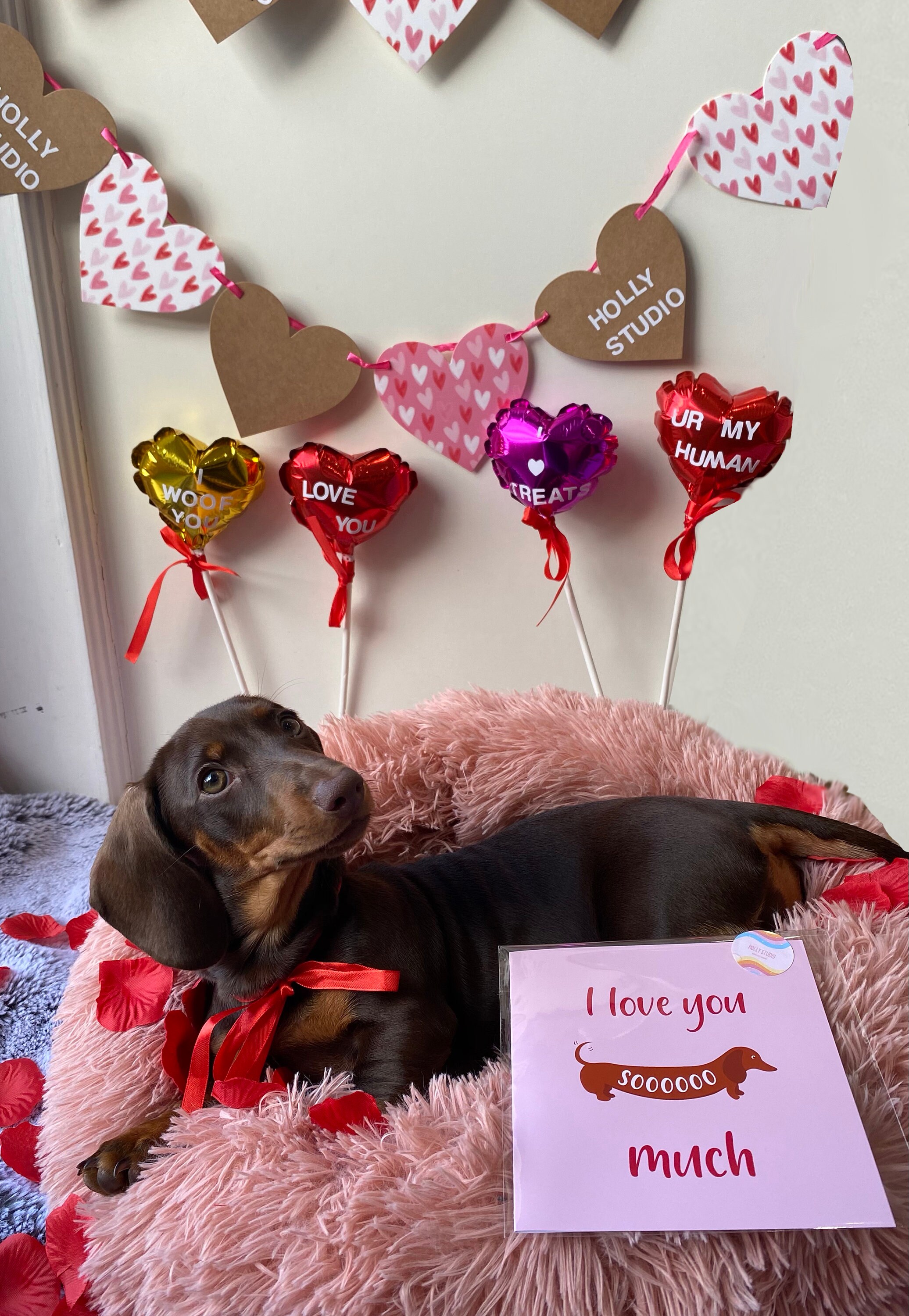 I Love You Soooo Much // Sausage Dog // // Valentine's Day Etsy