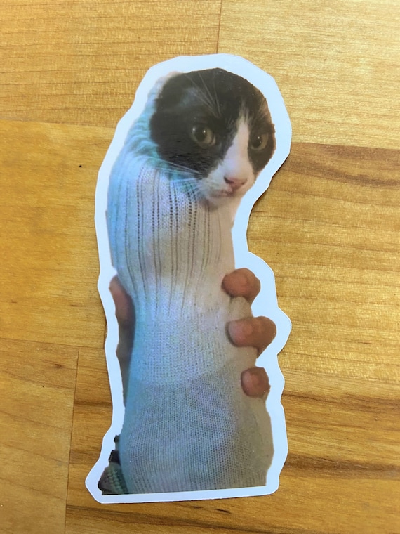 Kitty burrito top