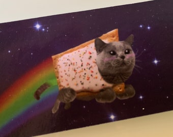 Space Cat Collection 1 - Gray Poptart 12ct.