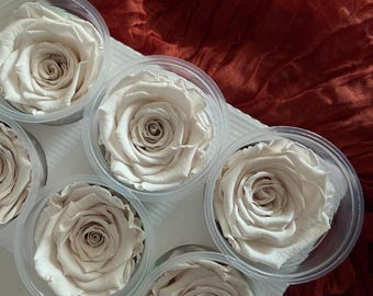Preserved Infinity Rose Head, Real Natural Rose Long Lasting Forever Flower, 6cm