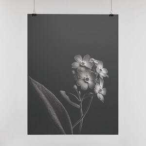 FORGET-ME-NOT BLACK AND WHITE, contrast, portrait format, art, digital download, printable, wallart, printing, DIY, digital printing, decoration, wall