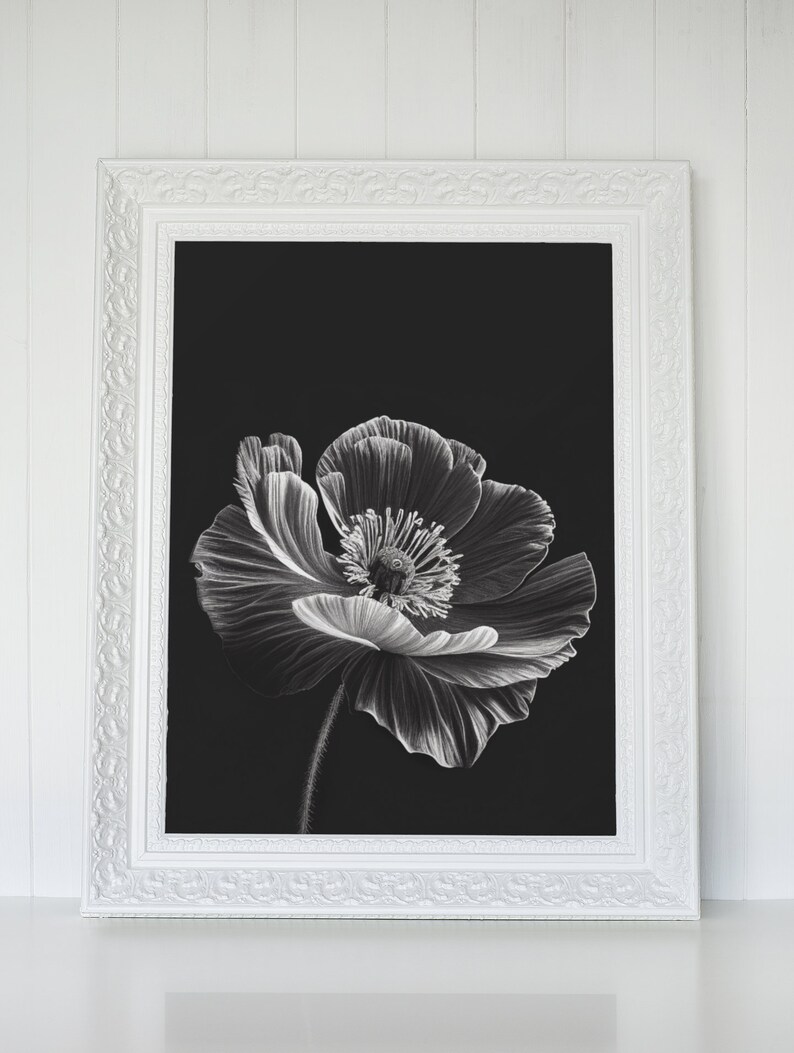POPPY POWER Black and White Poppy as Digital Download, Printable ...