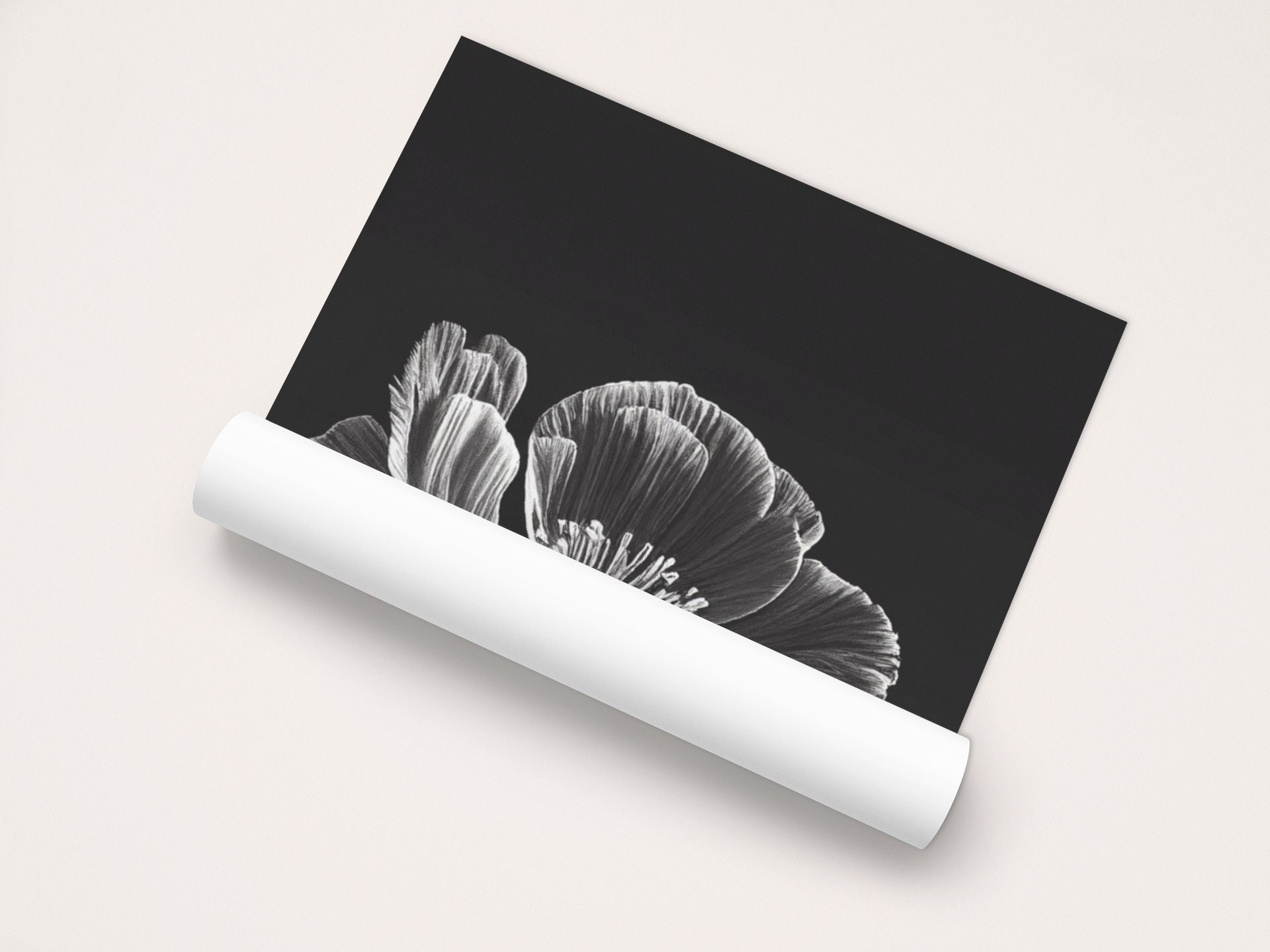 POPPY POWER Black and White Poppy as Digital Download, Printable ...