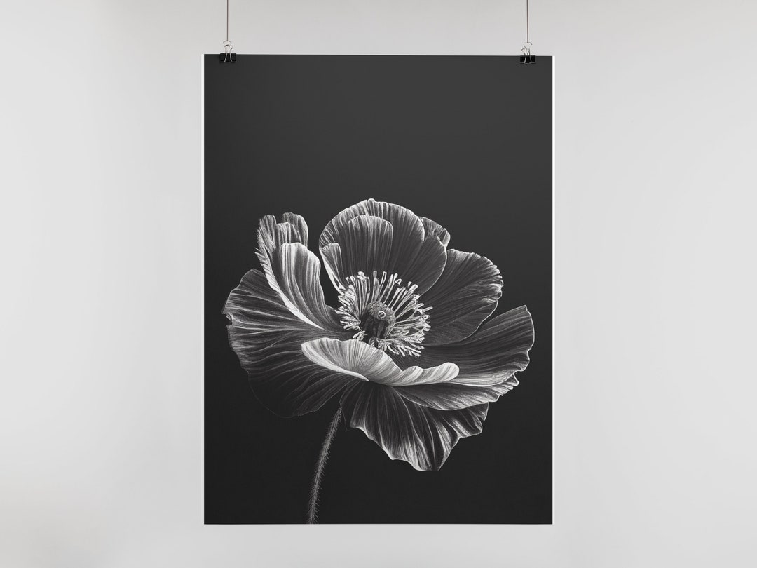 POPPY POWER Black and White Poppy as Digital Download, Printable ...