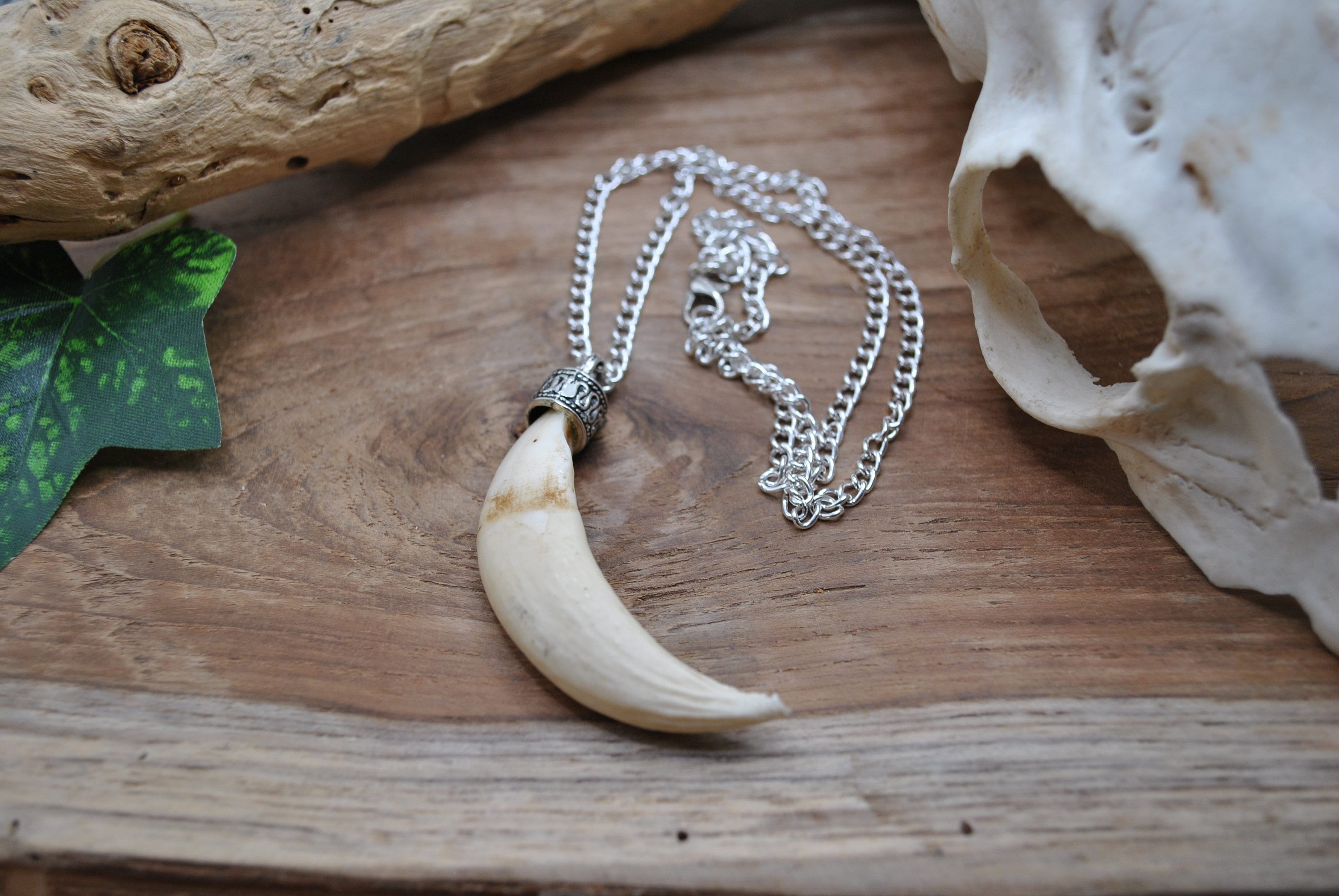 Vintage Boar Tusk Solid Silver Necklace – Jungle Tribe LA