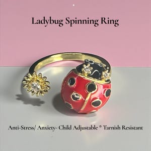 Calming Ladybug Spinner Fidget Ring set: Stress Anxiety Relief Sensory neurodivergence adhd autism rls office low key gift her daughter stim