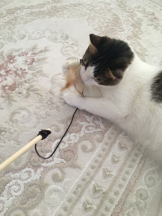 Mouse Fishing Rod, Cute Cat Teaser, Cat Wand, Yellyfish Cat Toys