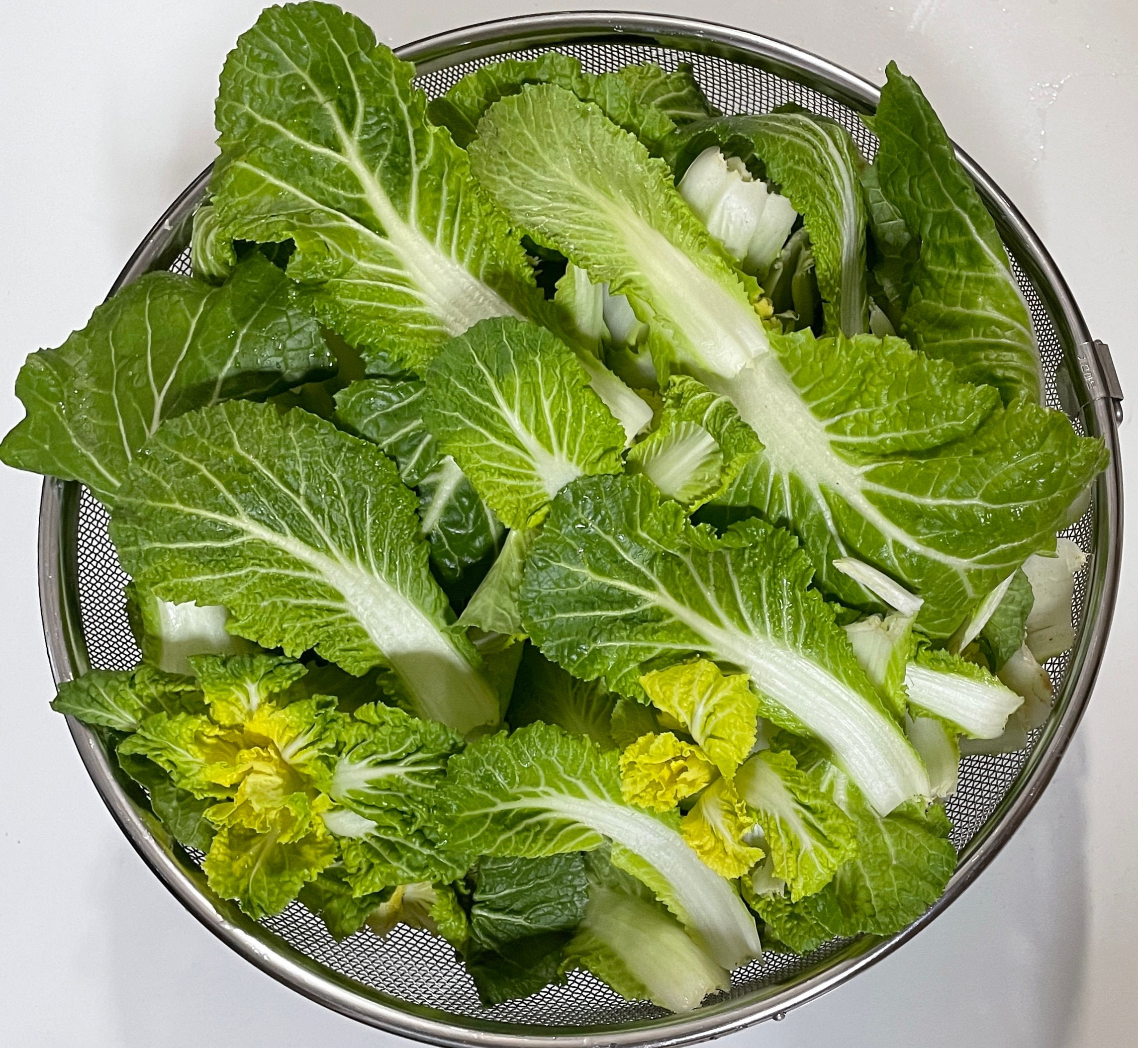 봄동 Bomdong Seeds Korean Vegetable Seeds Cabbage Seeds Etsy