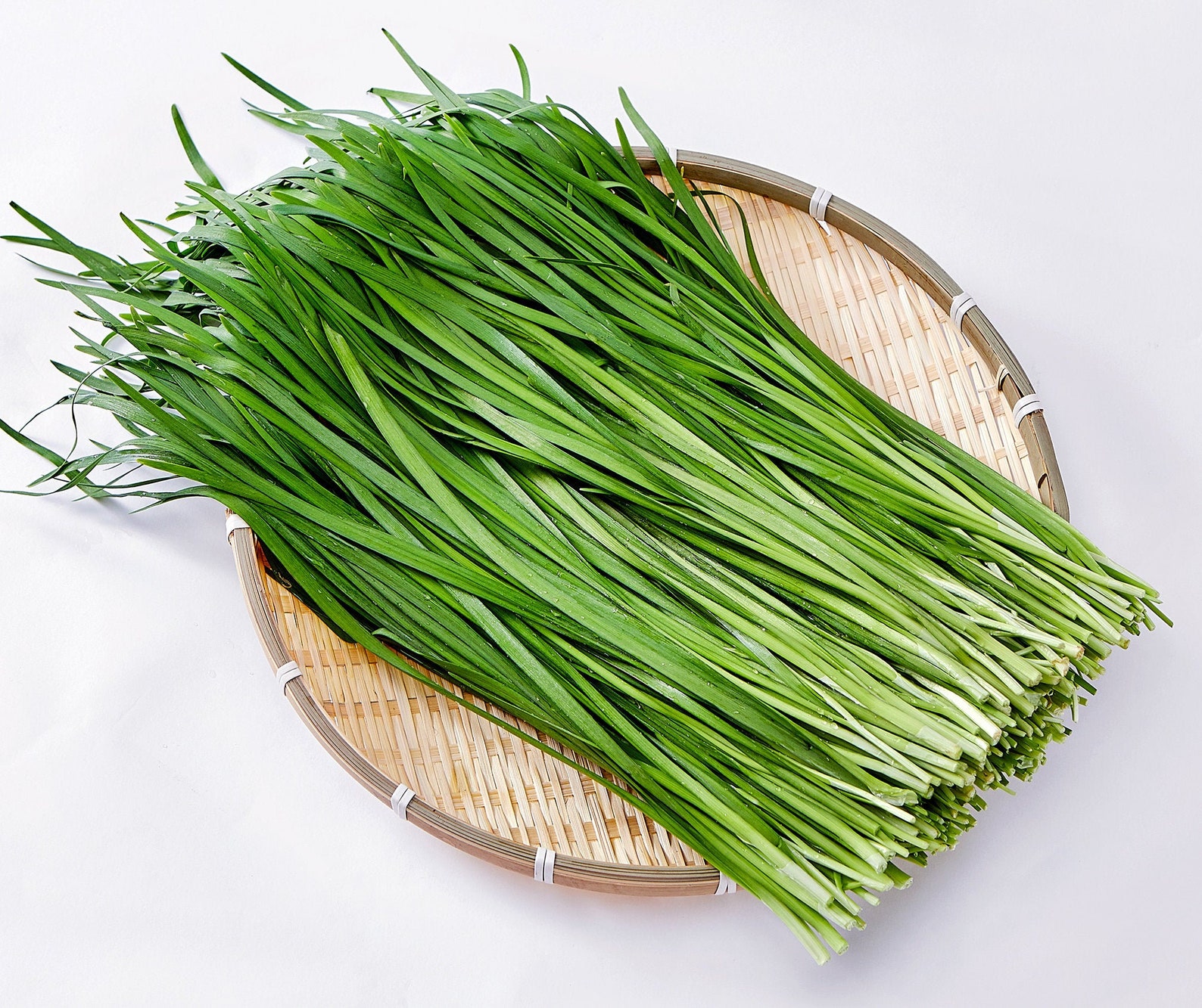 부추 Korean chive seeds Garlic chive Seeds Buchu Chinese Etsy