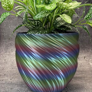 May include: A green, blue, and purple iridescent planter with a swirling pattern. A green plant with white speckles is in the planter.