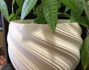 May include: White ceramic planter with a swirling, textured design. A green leafy plant is growing inside the planter.