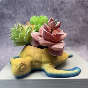 Maceta pequeña con forma de tortuga marina para suculentas, cactus o cualquier planta (multicolor) - 15 cm de largo x 14 cm de ancho x 4 cm de alto; Tienda en EE. UU.