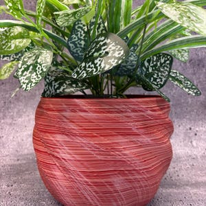 May include: A potted plant with green and white speckled leaves. The plant is in a red, textured pot. The pot has a unique, layered design. The background is a neutral gray.