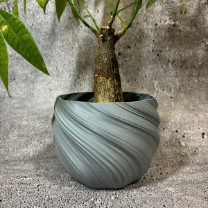 Puede incluir: Una pequeña planta verde de hojas en una maceta de cerámica gris y con forma de espiral. La maceta tiene un diseño texturizado y ondulado.