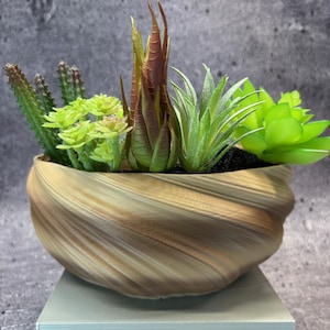 May include: A decorative succulent arrangement in a swirling, light brown and tan-colored planter. The arrangement includes various green and brown succulents and cacti, creating a natural, textured display. The planter sits on a white surface.