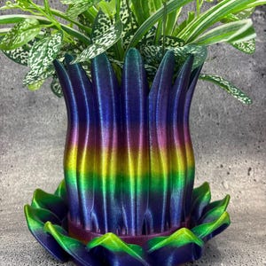Extra Large Plant Saucer - Etsy