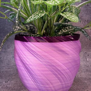 Puede incluir: Un macetero de espiral morado con una planta verde en su interior. El macetero está hecho de plástico impreso en 3D y tiene un diseño texturizado en espiral.