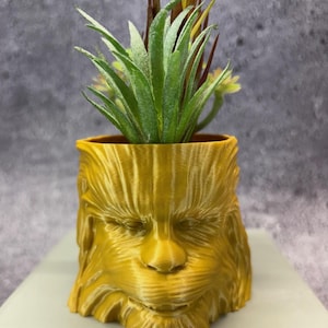May include: A gold-coloured planter, sculpted in the likeness of a character's face, filled with artificial green and brown plants. The planter has detailed facial features and a textured surface, making it a unique decorative item.