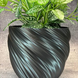 May include: A black, swirl-patterned planter with a green plant inside. The plant has green leaves with white speckles.