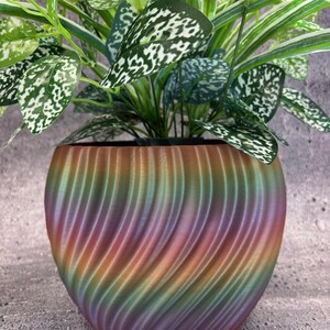 May include: A colorful, spiral-patterned planter pot holds a vibrant green plant with white-speckled leaves. The pot's design features a blend of rainbow hues, creating a visually appealing contrast with the plant's foliage. The pot is a decorative item.