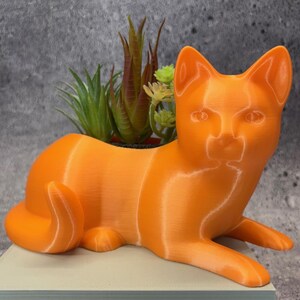 May include: An orange cat-shaped planter holding a variety of small succulents. The planter is made of a solid orange material and has a smooth finish. The cat is in a reclining position, with its paws extended. The plants are green and brown.