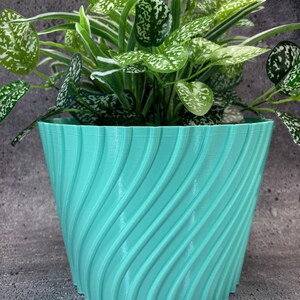 Peut inclure: Un pot de fleurs turquoise avec un motif tourbillonnant, contenant une plante verte avec des marbrures blanches.