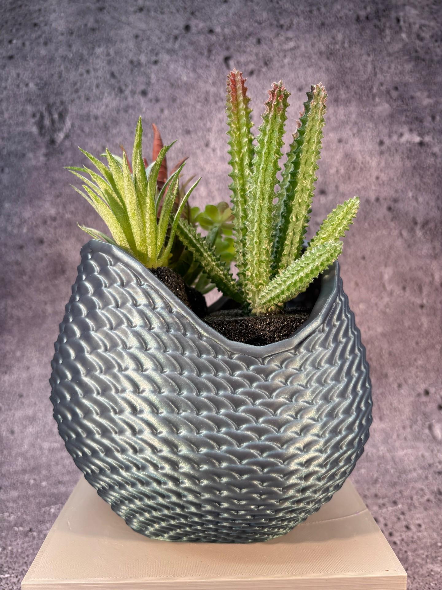 monstera deliciosa kaufen gro Monstera Deliciosa Variegata