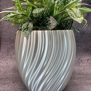 May include: A light gray, pearlescent, oval-shaped planter with a textured, swirling design. The planter holds a vibrant green plant with white-speckled leaves. The plant pot is a decorative item for indoor use.