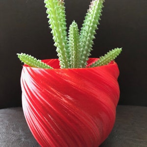 May include: A red, 3D printed planter with a swirling design, holding a green succulent plant.