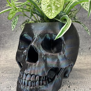 Può includere: Un vaso a forma di teschio stampato in 3D con una finitura scura e iridescente che varia tra toni neri, blu e viola. Una pianta d'appartamento variegata verde e bianca è piantata all'interno, con foglie che si estendono sopra e sui lati.