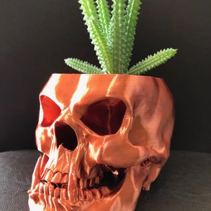 Puede incluir: Un macetero de calavera de color cobre con una pequeña planta suculenta creciendo en su interior. La calavera tiene un diseño detallado con dientes y una superficie texturizada.