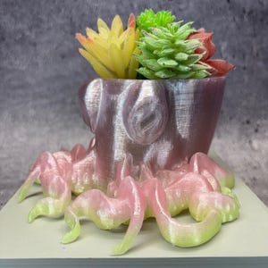 Maceta pequeña con forma de pulpo para suculentas, cactus o cualquier planta (color multicolor brillante cristalino) - 15 cm de largo x 13,3 cm de ancho x 7 cm de alto; Tienda de EE. UU.