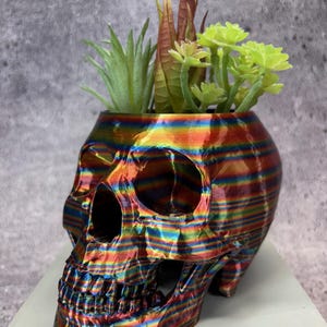 May include: A rainbow iridescent skull planter with a variety of green succulents growing inside.