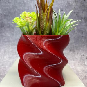 Può includere: Un vaso rosso dal design a spirale riempito con assortite piante grasse finte. Il vaso ha una finitura lucida e una forma unica e attorcigliata. Le piante grasse presentano tonalità verdi, gialle e marroni, aggiungendo un tocco naturale.