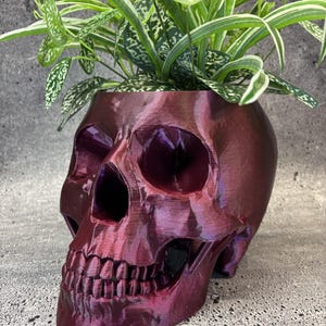 Vaso a forma di teschio extra extra large per piante grasse, cactus o qualsiasi altra pianta (colore viola intenso/rosso cangiante) - 19 cm di larghezza x 30 cm di profondità x 18 cm di altezza
