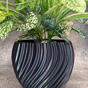May include: A dark blue, textured, decorative plant pot with a swirling pattern, holding a green and white spotted plant. The pot has a glossy finish and a rounded shape, suitable for indoor decor.